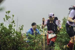 BIB: 489
                            <button type="button" onclick="openModal(24737106)" class="btn btn-primary btn-sm float-right btn-popup" data-toggle="modal" data-target=".modal-high-quality">
                        <i class="fas fa-shopping-cart"></i> Add to Cart
                    </button>
                                            <button type="button" onclick="isThisMe(24737106, true)" class="btn btn-success btn-sm float-right btn-popup btn-isme hidden" data-toggle="tooltip" data-placement="bottom" title="นี่คือรูปของคุณใช่ไหม คลิกที่นี่เพื่อเอาเข้าอัลบั้ม">
                        <i class="fas fa-plus"></i> Add to album
                    </button>
                    <button type="button" onclick="isThisMe(24737106, false)" class="btn btn-warning btn-sm float-right btn-popup btn-isnotme hidden">
                        <i class="fas fa-ban"></i> Remove from album
                    </button>